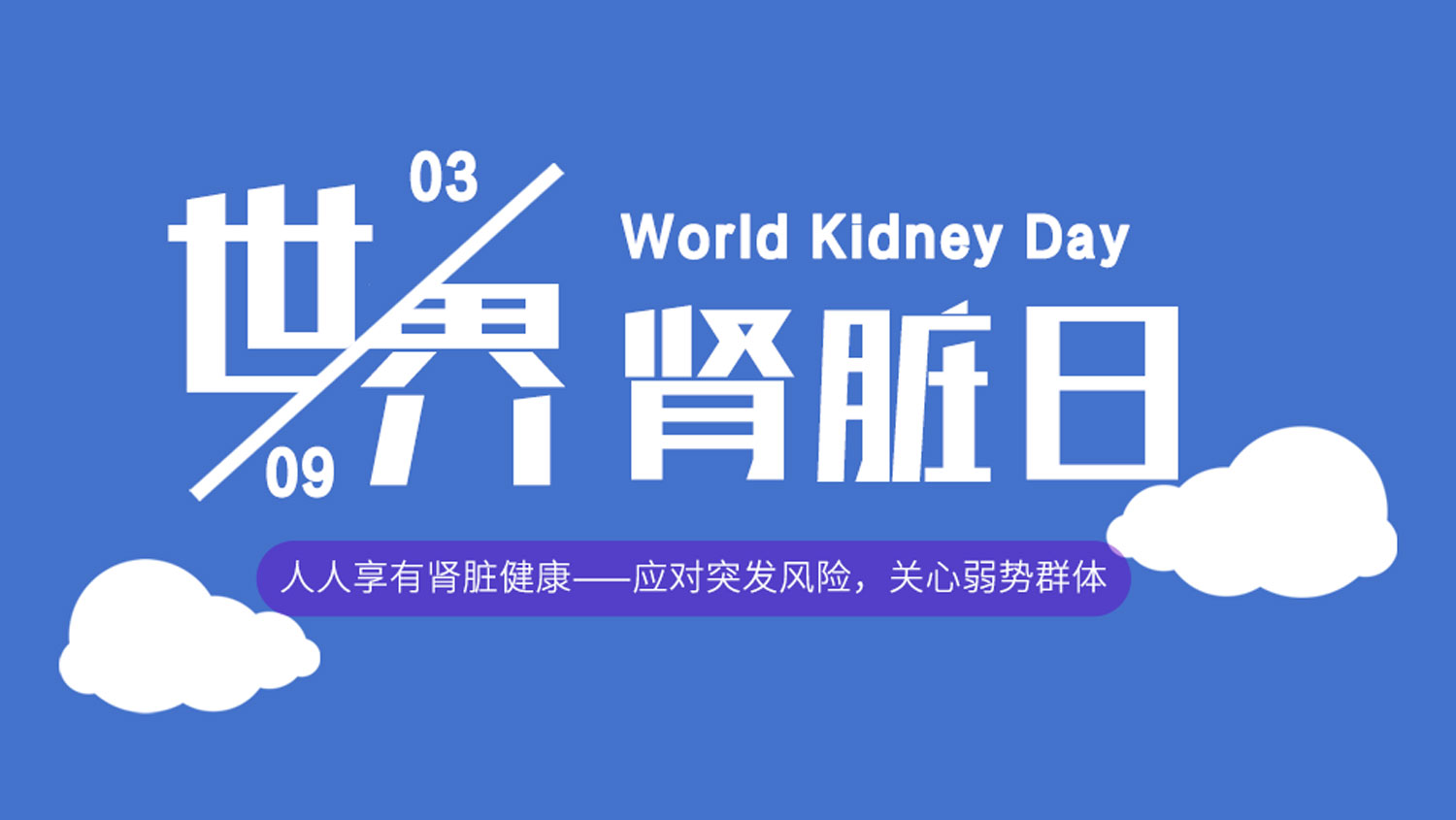 世界腎臟日丨“人人享有腎臟健康”，syva全力守護用藥安全